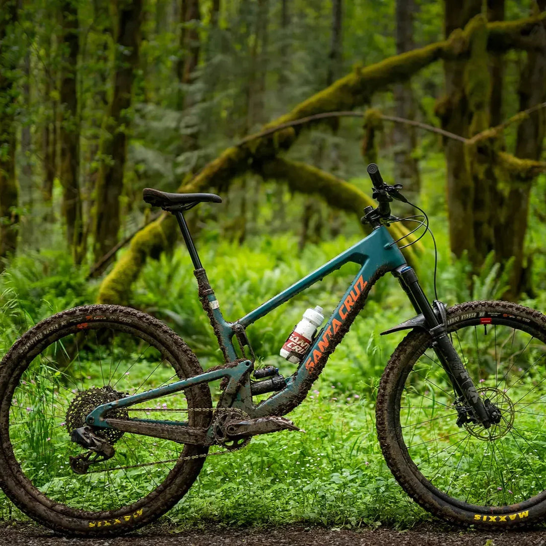 How to Safely Buy a Bike on eBay or Facebook Marketplace