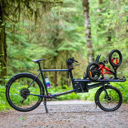 Collection and Delivery within England and Wales